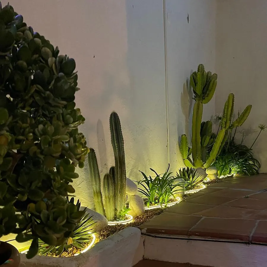 Guest house Terra Aloe Hotel Torremolinos Spain